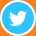 Twitter Logo